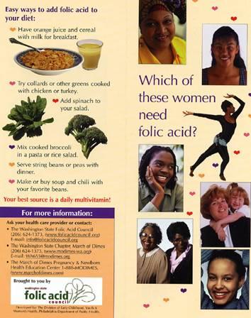 Two Fold Brochure Cover: Which of these women need folic acid? The Answer Inside: All of them!