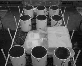 Evaluation of Bentgrass Root Structure and Development on Greens of Varying Soil Depth Introduction B.A. Frazer, A.S. Mc
