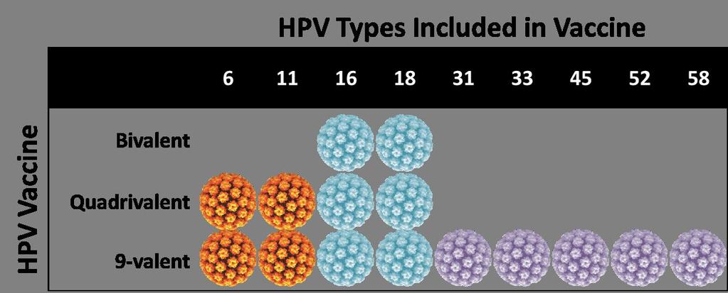 HPV Vaccine Comparison
