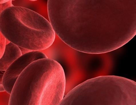 HGB measures the hemoglobin, which is the amount of red blood cells in the blood.