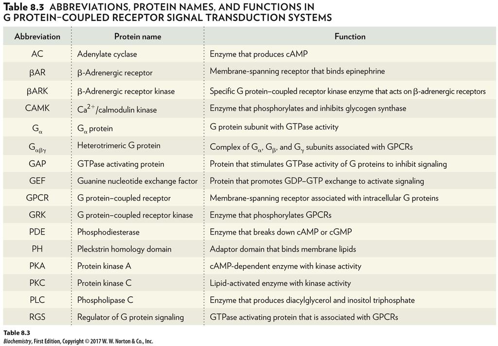 GPCR Signal Transduction Systems Abbreviation Protein name Function A C Adenylate cyclase Enzyme that produces c A M P Beta A R Beta-Adrenergic receptor Membrane-spanning receptor that binds