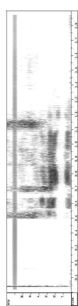 Figure 4: Spectrogram of sample phrase recorded at a noisy street corner with an