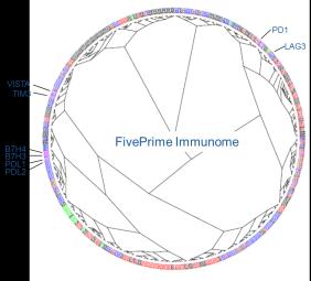 The FivePrime Immunome Library is a Subset of the Total Library and Includes Immune Regulatory Proteins FivePrime Immunome : ~700 potential immune-regulatory proteins based on structure, phylogeny