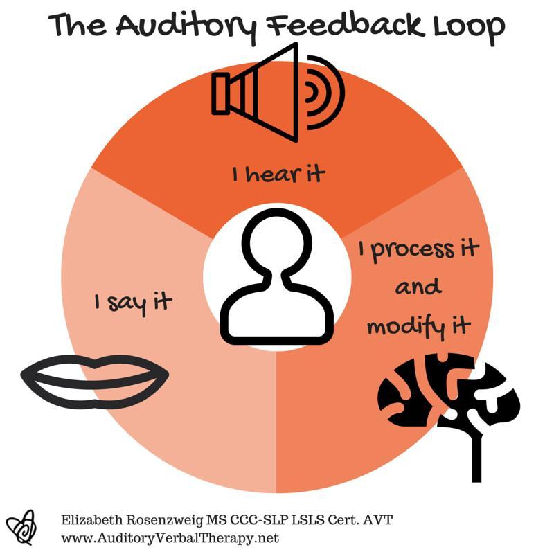 Auditory Feedback Loop Strategies that