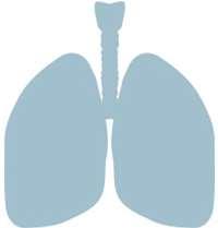Harmful effects on the lungs Research shows that marijuana smoke is an irritant to the lungs.