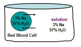 ISOTONIC If a cell is placed in an isotonic environment there
