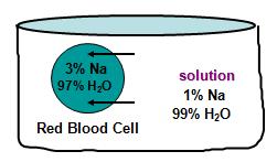 HYPOTONIC If the cell is placed in a hypotonic environment the cell will