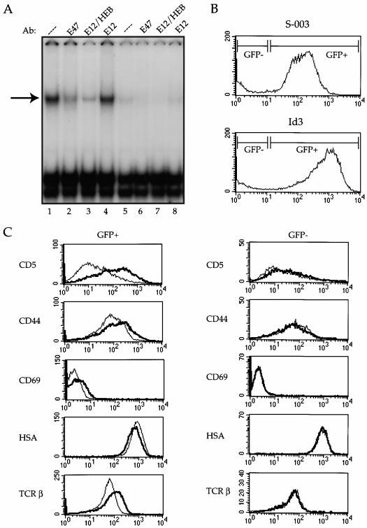Figure 8. Inhibition of E47 activity in a DP T cell line promotes differentiation. The 16610D9 DP T cell line was retrovirally infected with Id3 or control (S-003) virus.