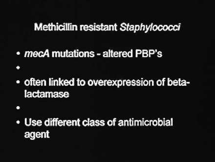 drug Re- discovered - MRSA - and MRSE - Staphylococci with altered PBP-2A meca gene - no longer binds penicillin (C sporins don t bind