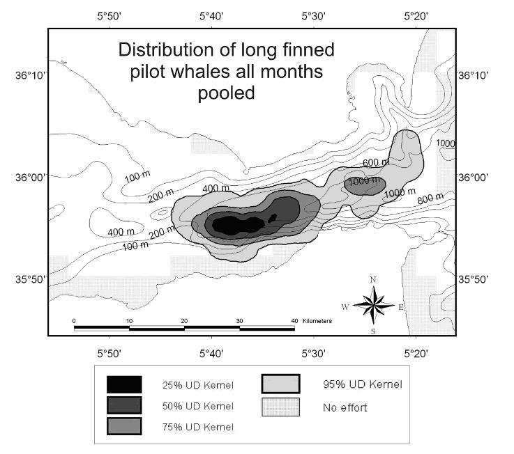 Fig. 1: Left: The annual distribution of long-finned pilot whales (shaded area - Darker shades represent higher probability of occurrence) recorded by visual observers in the Strait of Gibraltar (de