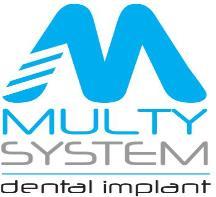 1. PROJECT DESCRIPTION Multysystem dare is export products out of italian borders.