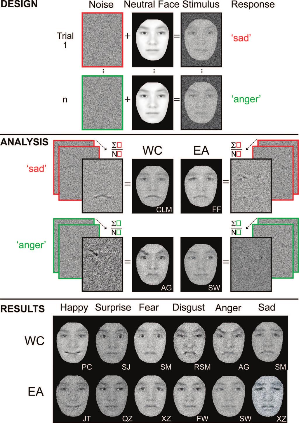 CULTURAL INTERNAL REPRESENTATIONS OF FACIAL EXPRESSIONS 3 Figure 1. Illustration of the reverse correlation (RC) technique used to estimate observer-specific internal representations.