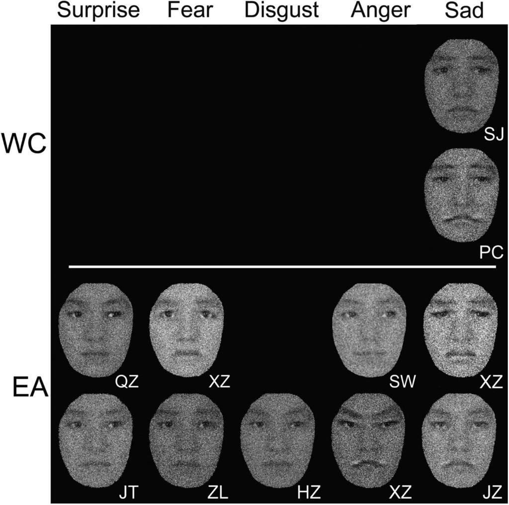 CULTURAL INTERNAL REPRESENTATIONS OF FACIAL EXPRESSIONS 5 Figure 3. Internal representations showing changes of gaze direction.