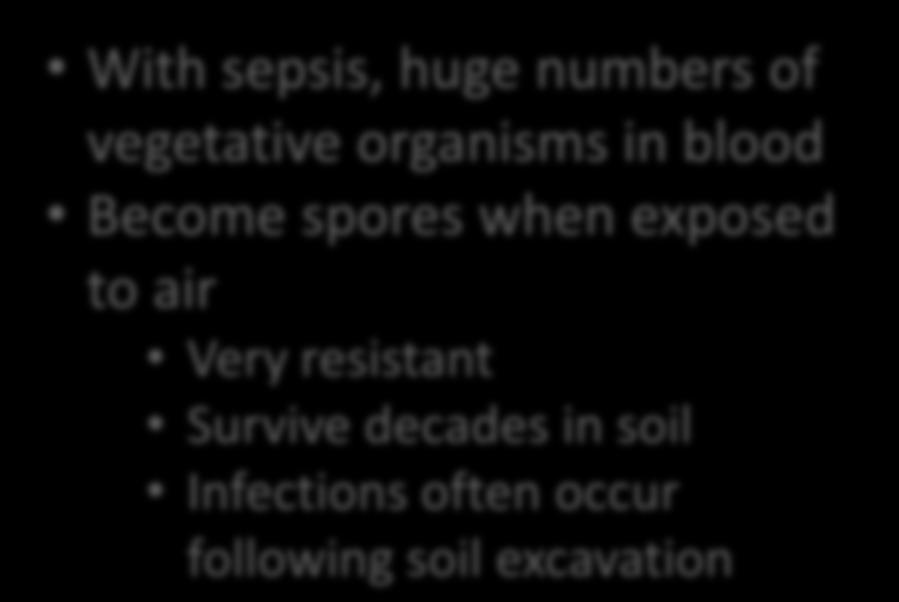 numbers of vegetative organisms in blood Become spores