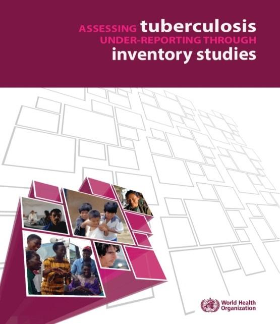 Recommendations: Medium Term Assess barriers to health care and previously unreported cases in TB prevalence survey Monitor the level of underreporting through inventory studies Support