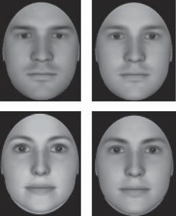 encodes social category information Freeman et al. 25 sequential stages. Such parallel encoding is consistent with recent accounts of face perception, which posit that multiple codes (e.g. sex, race, identity, expression) are extracted simultaneously in a common multidimensional face-coding system.