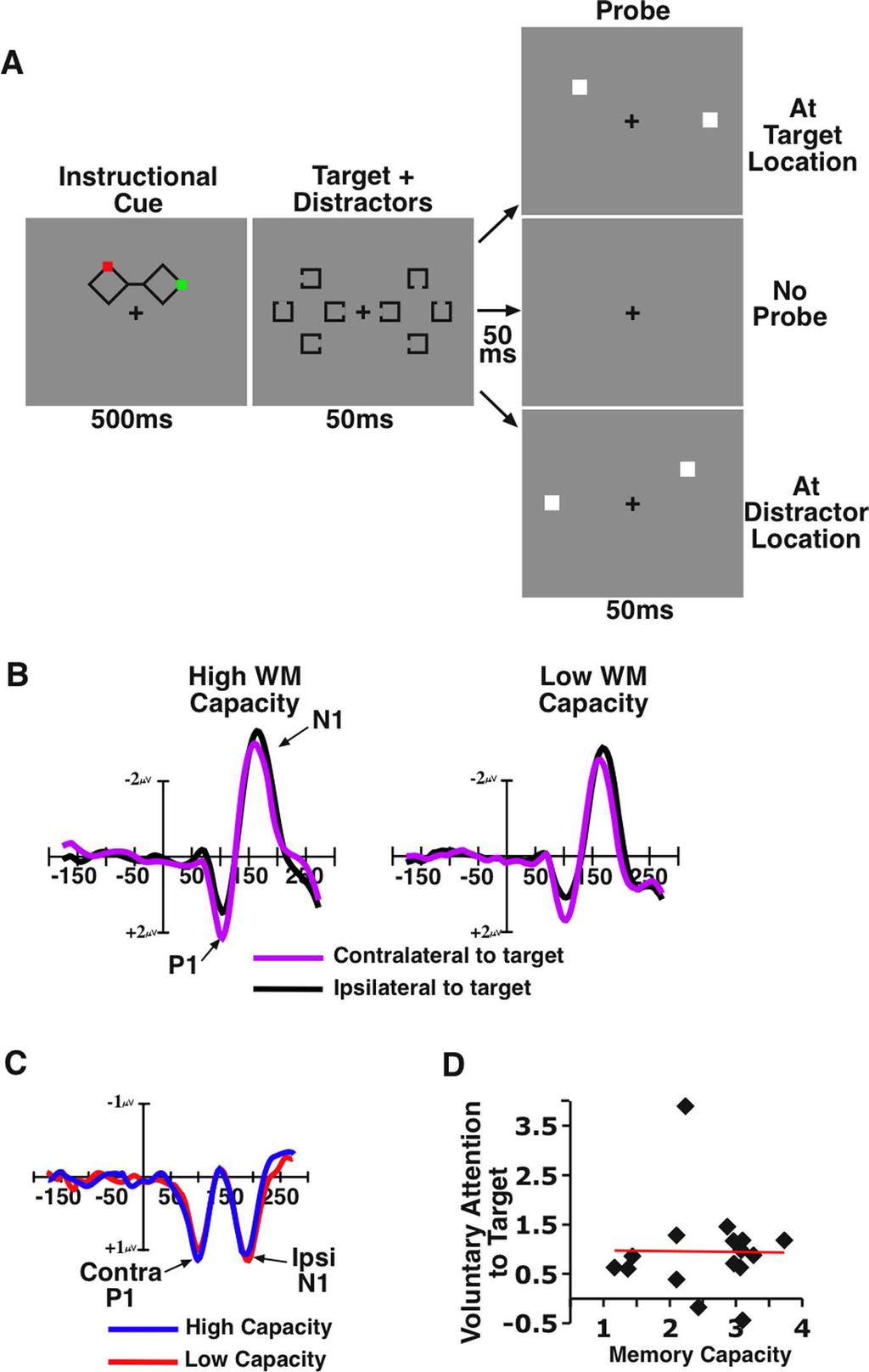 Fukuda and Vogel WM and Attentional Capture J. Neurosci., July 8, 2009 29(27):8726 8733 8727 Figure 1. Stimuli and results from experiment 1.