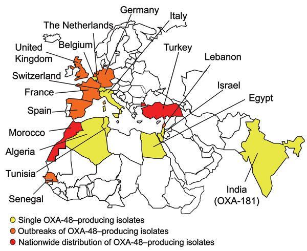 Geographic distribution of OXA-48 type