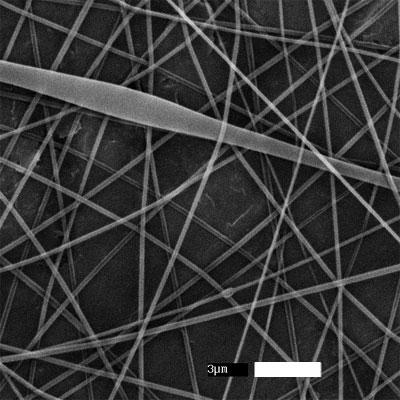 these wider fibers had cellulose entrained in the core, and the large, scrunchedlooking segments that were also left after washing the as-spun fibers are probably cellulose fragments.