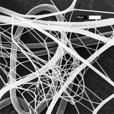 Often, multiple jets were formed at the needle tip, and it appeared as though the cellulose and PS solutions were electrospinning separately.