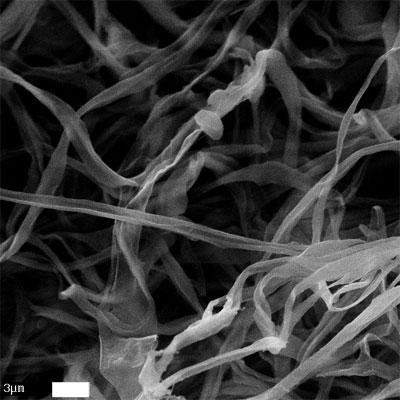 µm); 8% cellulose (+ surfactant), 14 wt% PAN