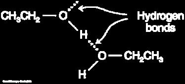 OH group can hydrogen bond