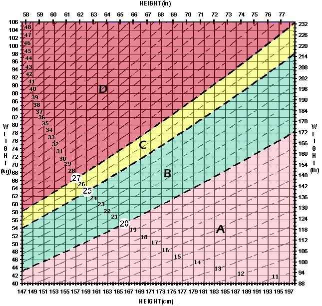 Reference Chart 2 - BMI Chart