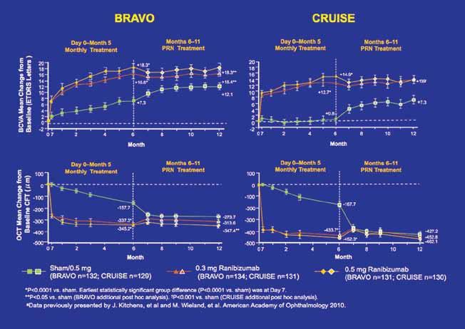 BRAVO and CRUISE Subanalyses Subanalyses were performed to determine what factors influenced outcomes in both BRAVO and CRUISE.