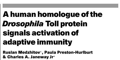 are homologous to Drosophila tollprotein and