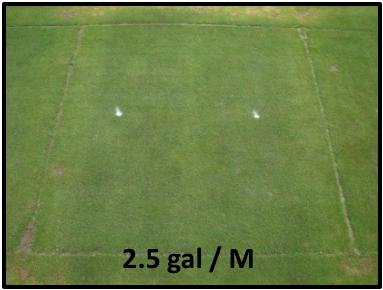 Experiment 3 Objective: Compare different water carrier volumes for iron sulfate heptahydrate applications in order to assess if a higher dilution will lead to less turfgrass thinning while at the