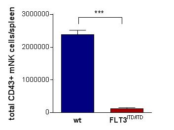 Reports 2013). Analysis of NK cell compartments in FLT3-ITD mice supports that dysregulated FLT3 affects NK cell development and their cytotoxic function.