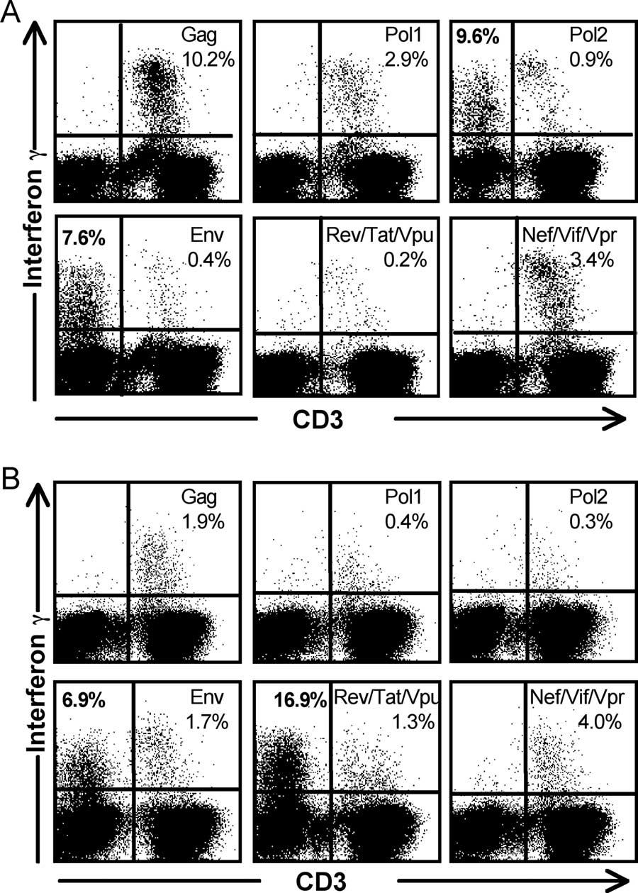 VOL. 82, 2008 NK-MEDIATED ADCC IN HIV 5451 or CD4 T cells. We subsequently showed that the effector cells were NK lymphocytes and that IgG in plasma mediated the response.