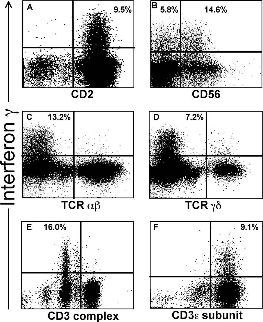 VOL. 82, 2008 NK-MEDIATED ADCC IN HIV 5455 Downloaded from http://jvi.asm.org/ FIG. 3. Cell markers on Vpu-specific IFN- -expressing lymphocytes.