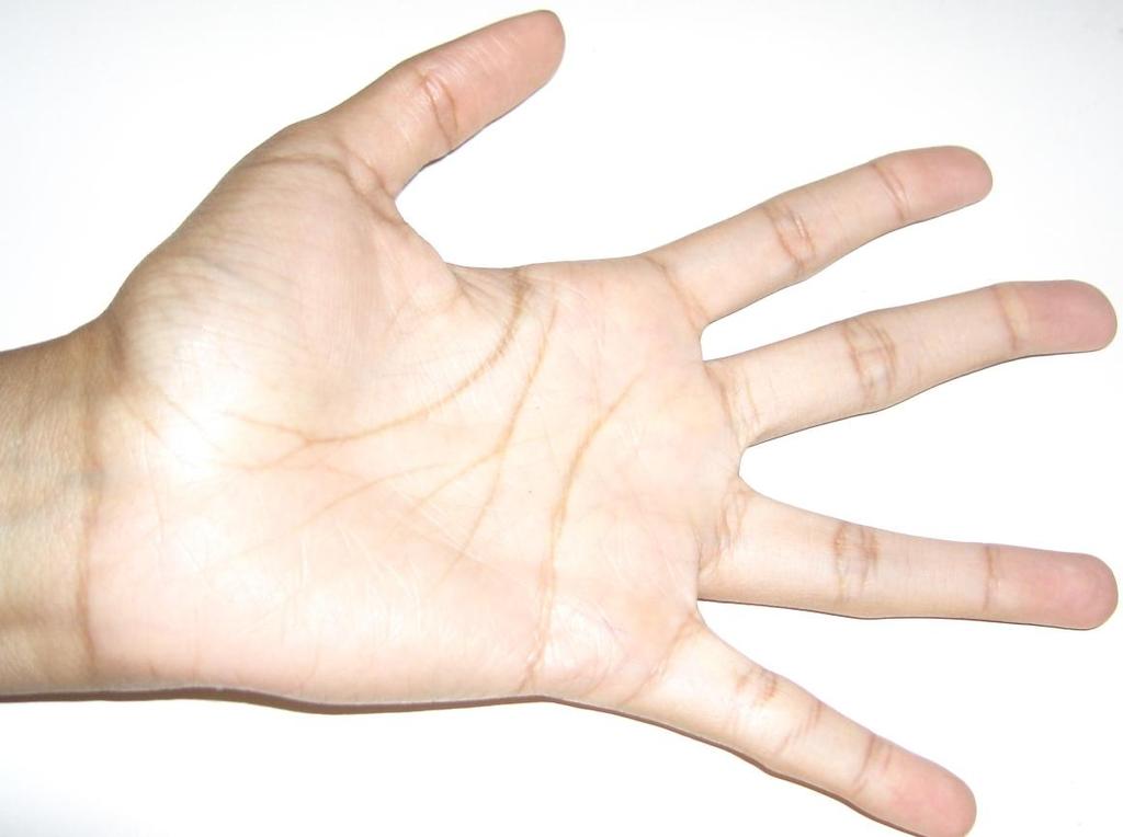 Muscle of the hand Thenar (lateral group) 4-movement of the thumb Intermediate group 11-movement of