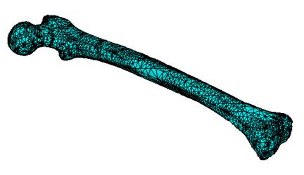 2.4 FEA Mesh FEA mesh represents the nodes and elements for structural calculations. In this work, FEA mesh was generated on 3D CAD model of femur bone.