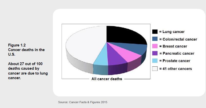 7% of all new cancer cases - 27.
