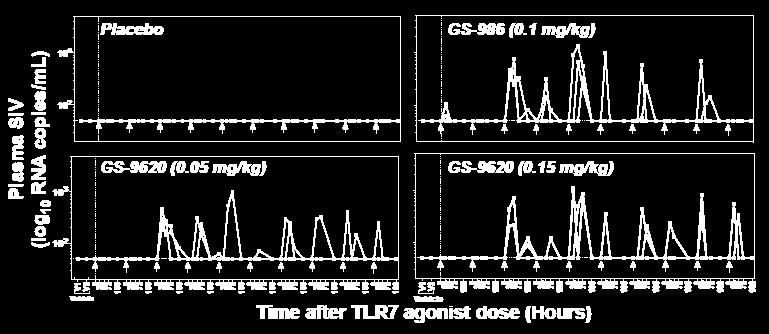 TLR7 Agonists Induce Transient Plasma Viremia Viral reac)va)on only when using the TLR7 agonists No