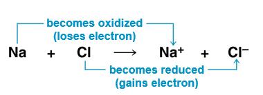 Redox Reactions: Oxidation and Reduction The transfer of electrons during chemical reactions releases energy stored in organic molecules This released energy is ultimately used to synthesize The