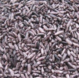 diseases, type II diabetes and some cancers Brown rice contains similar