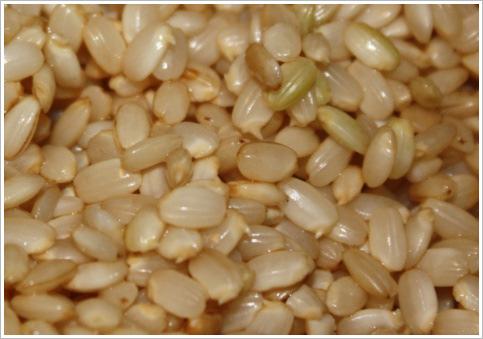 Germination of brown rice not only improves cooking quality and nutritional value but also improves the organoleptic qualities Significant increases in bioactive compounds such as