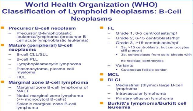 B-Cell Neoplasm Again... neoplasm of mature cells are called lymphoma, whereas those of immature cells are called leukemia.