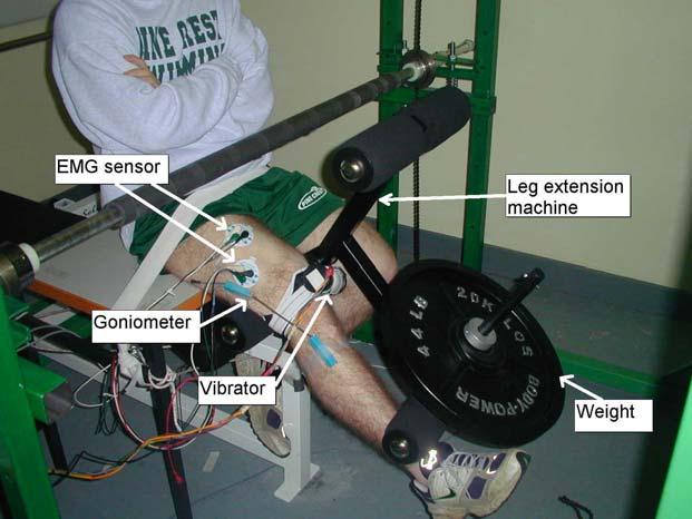 46 Jin Luo, et al: Influence of resistance load on electromyography response to vibration training hand to enhance the output of the biceps.