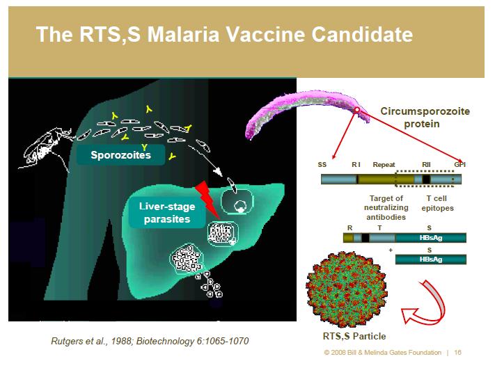 The RTS,S Malaria