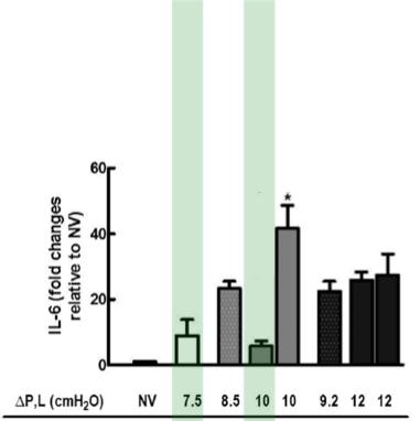 Low PEEP and low ΔP Prevents Pulmonary Inflammation* 48 healthy rats, intratracheal