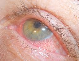 Alpha-adrenoceptor stimulant drugs, e.g., phenylephrine, produce a short-lasting mydriasis that is usually sufficient for funduscopic examination.