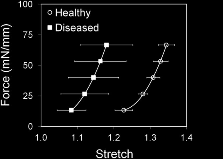 Figure 5.5 Force (per mm vessel length) vs. stretch (mean standard error) of the passive tensile ring tests of the healthy (n = 4) and atherosclerotic diseased (n = 6) arteries. 5.3.