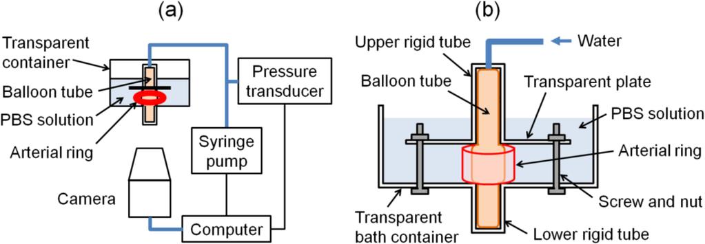 Figure 7.1 (a) The setup of the inflation artery ring test and (b) the enlarged view of the inflation system.