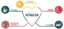 Metabolism: Converting food into energy breathing, circulating blood, adjusting hormone levels, and growing and repairing cells.