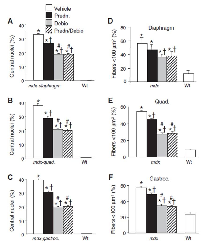 mice with Debio-025, or the combination of prednisone/debio-025 significantly reduced the weight of the gastrocnemius, although reductions in the weights of the quadriceps, tibialis anterior, and