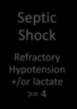 Septic Shock Refractory